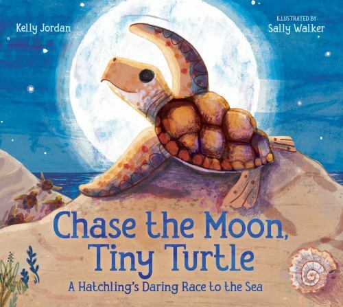 Chase the Moon, Tiny Turtle: A Hatchling’s Daring Race to the Sea