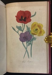 THE LADIES WREATH Antique Victorian Gift Book COLOR PLATES Fine Leather Binding
