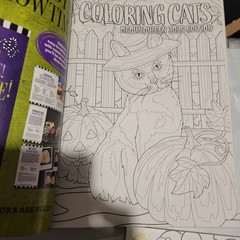 HALLOWEEN Coloring Book(s) Lot Of 3 ~ Cats ~ Color Creatives Magazine Books