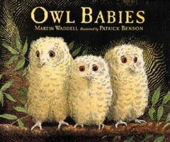 Owl Babies – Board book By Waddell, Martin – GOOD