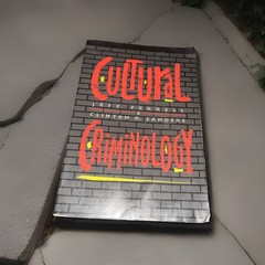 Cultural Criminology by Clinton R. Sanders (1995, Trade Paperback)