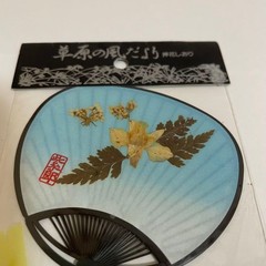 Pressed Flower Bookmark Shiro Uchiwa Grassland Wind Report 3.4×2.8in Vintage