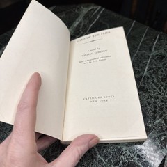 LORD OF THE FLIES Twenty-second Impression Vintage Book 1959 Nice!