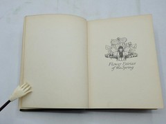 THE BOOK of THE FLOWER FAIRIES by Cicely Mary Barker – Very Clean Volume c1927