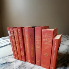 Lot of 10 Hardcover RED BURGUNDY ROSE PINK Shades Books for Staging Prop Decor