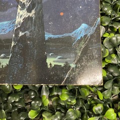 WOLFSHEAD – Robert E. Howard – 1st Print – Bantam Books – Condition: Good ?