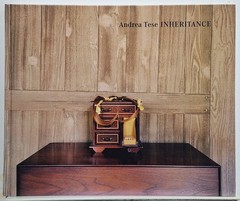Andrea Tese INHERITANCE photography hardcover 2015 STEIDL publishers