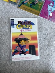 Black Canary Comic Lot: #1–12 (1993 series) & New Wings #1–4 1991