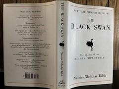 The Impact of the Highly Improbable Nassim Nicholas Taleb HC DJ