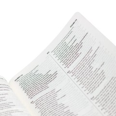 Bíblia Bilíngue Inglês/Português – English/Portuguese Bilingual Bible ESV/NAA