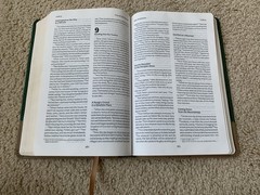 TLV Thinline Bible Holy Scripture – Green & Tan Duravella Imitation Leather