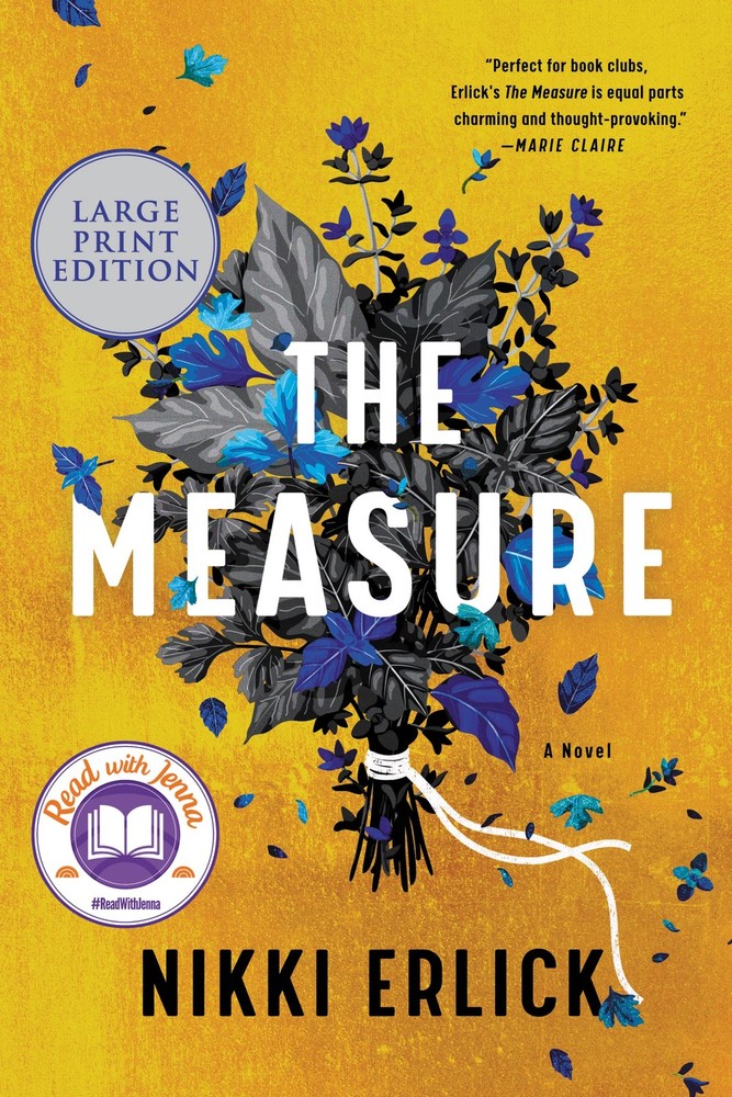 The Measure: A Novel – paperback Erlick, Nikki