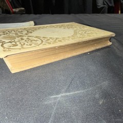 Mary Bowers Warren Little Journeys Abroad Illustrated Gilt Edges Knight 1895
