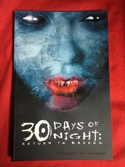 30 DAYS OF NIGHT RETURN TO BARROW TPB IDW 1ST PRINT & Annual Miles Templesmith