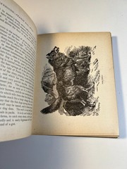 Antique Victorian Book Ornate Decorative Wood’s Natural History 1898