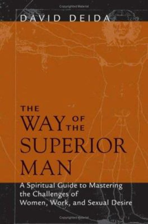 The Way of the Superior Man Paperback David Deida