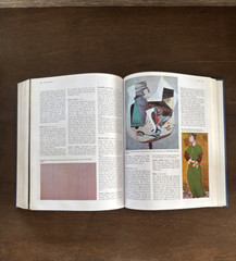 2002 A BIOGRAPHICAL DICTIONARY ARTISTS Cowing Artists Illustrations 784 pages HB