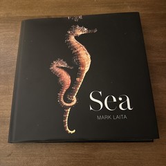 Sea Mark Laita SHIPS PROMPTLY