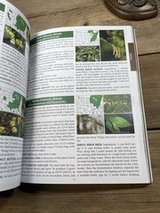 The Forager’s Guide to Wild Foods – The North American Edition – Nicole Apelian