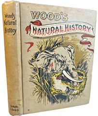 Antique Victorian Book Ornate Decorative Wood’s Natural History 1898