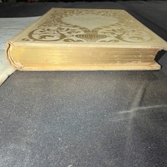 Mary Bowers Warren Little Journeys Abroad Illustrated Gilt Edges Knight 1895