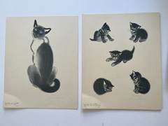 CATS ~ A PORTFOLIO ~ Clare Turlay Newberry ~ 1943 vintage prints x 16