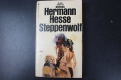 Steppenwolf Hermann Hesse 1972 Bantam Paperback Modern Classic Literature PB GGA