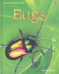 Bugs Hardcover Rosie Dickins