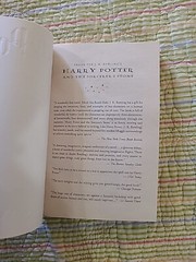 Harry Potter and the Sorcerers Stone – Paperback By Rowling, JK – GOOD
