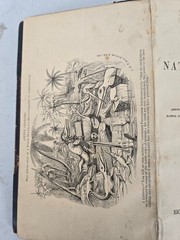 CURIOSITIES OF NATURAL HISTORY FRANCSIS T. BUCKLAND 1868 10TH EDITION LONDON