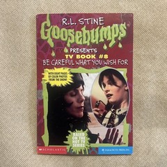 Goosebumps Presents TV Book #8 Be Careful What You Wish For R.L. Stine READ