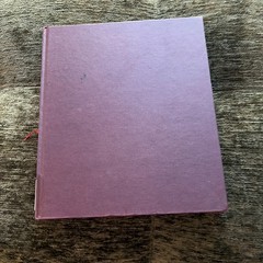 Hubble Vision Petersen And Brandt Book