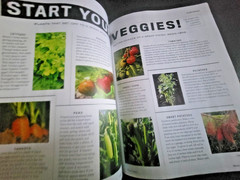 The Old Farmer’s Almanac Garden Guide 2026 – All Information Needed For Success