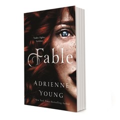Fable: A Novel (The World of the Narrows, 1) – paperback Young, Adrienne