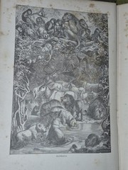 Wood’s Illustrated Natural History Mammals Birds Reptile