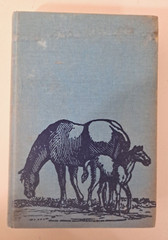 Jane Carruth 1978 Horse & Pony Stories Hardback Book 6×8.5×1.5 400 pages
