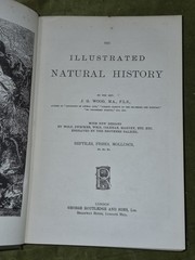 Wood’s Illustrated Natural History Mammals Birds Reptile