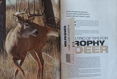Arkanaas Sportsman Sept 2016 Drew County Buck Deerfish Dove Crossbows Dogs Bobwh