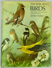Thorburn’s Birds by James Fisher, 1st Ed 1967 Ebury Press Vintage Hardback Book