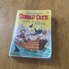 Walt Disney’s Donald Duck in Volcano Valley Big Little Book & Luck Of The Duck