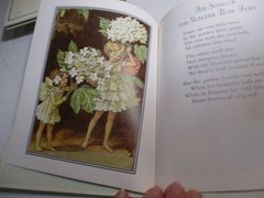 Flower Fairies Library by Cicely Mary Barker 8 Hardcover Books in Slipcase