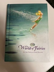 The World of Fairies: At the Dawn of Pixie Hollow – Hardcover – GOOD