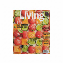Martha Stewart Magazine Living Summer Ideas Grilling Crafts Desserts 143 Pages