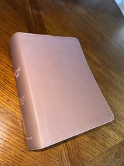 CSB She Reads Truth Bible, Rose Gold LeatherTouch, Indexed by Raechel Myers, C.