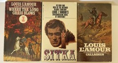 Louis L’amour Westerns Books – Lot of 10 – tenB – EX_used