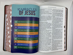 KJV Kids Bible, LARGE PRINT 40 Pages Full Color Study Helps, Presentation INDEX
