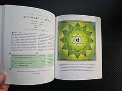 Healing Body Meditations 30 Color Mandalas Paperback 160 Pages Natural Healing