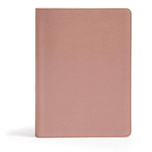 CSB She Reads Truth Bible Rose – ACCEPTABLE