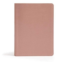CSB She Reads Truth Bible Rose – ACCEPTABLE