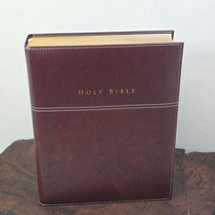 NIV Family Bible Keepsake Edition Italian Duo-Tone Illustrated Art Large 2011